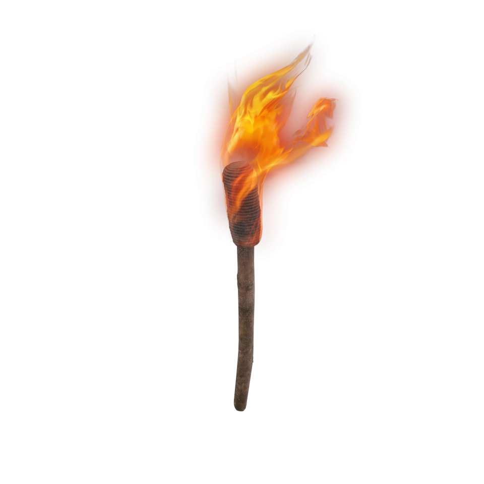 Hand Torch PNG Image - PurePNG | Free transparent CC0 PNG Image Library