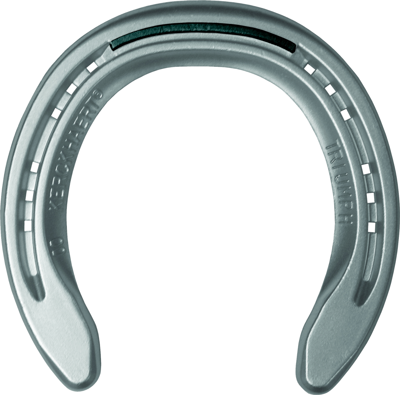 Horseshoe PNG Image PurePNG Free transparent CC0 PNG