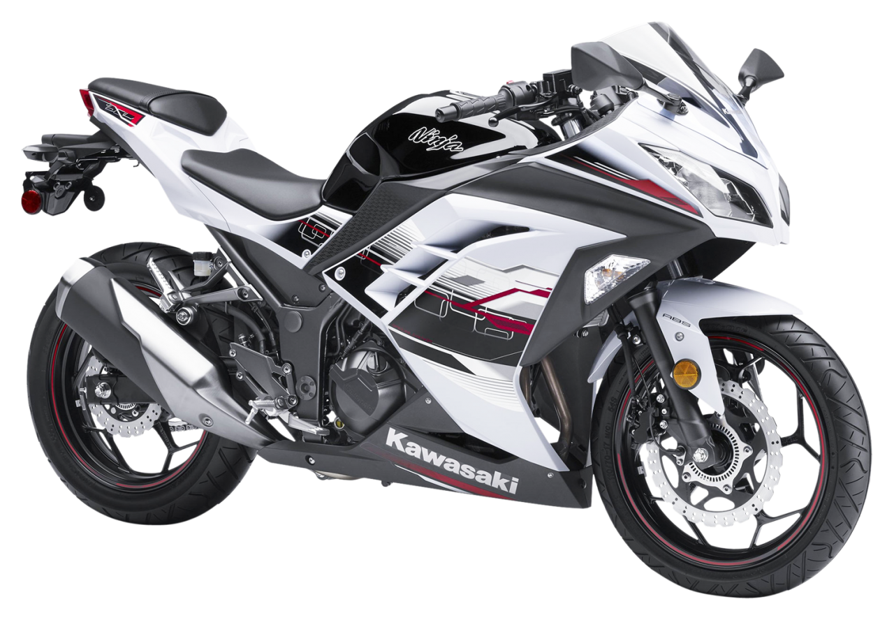 Kawasaki Ninja Zx10r 2014 White