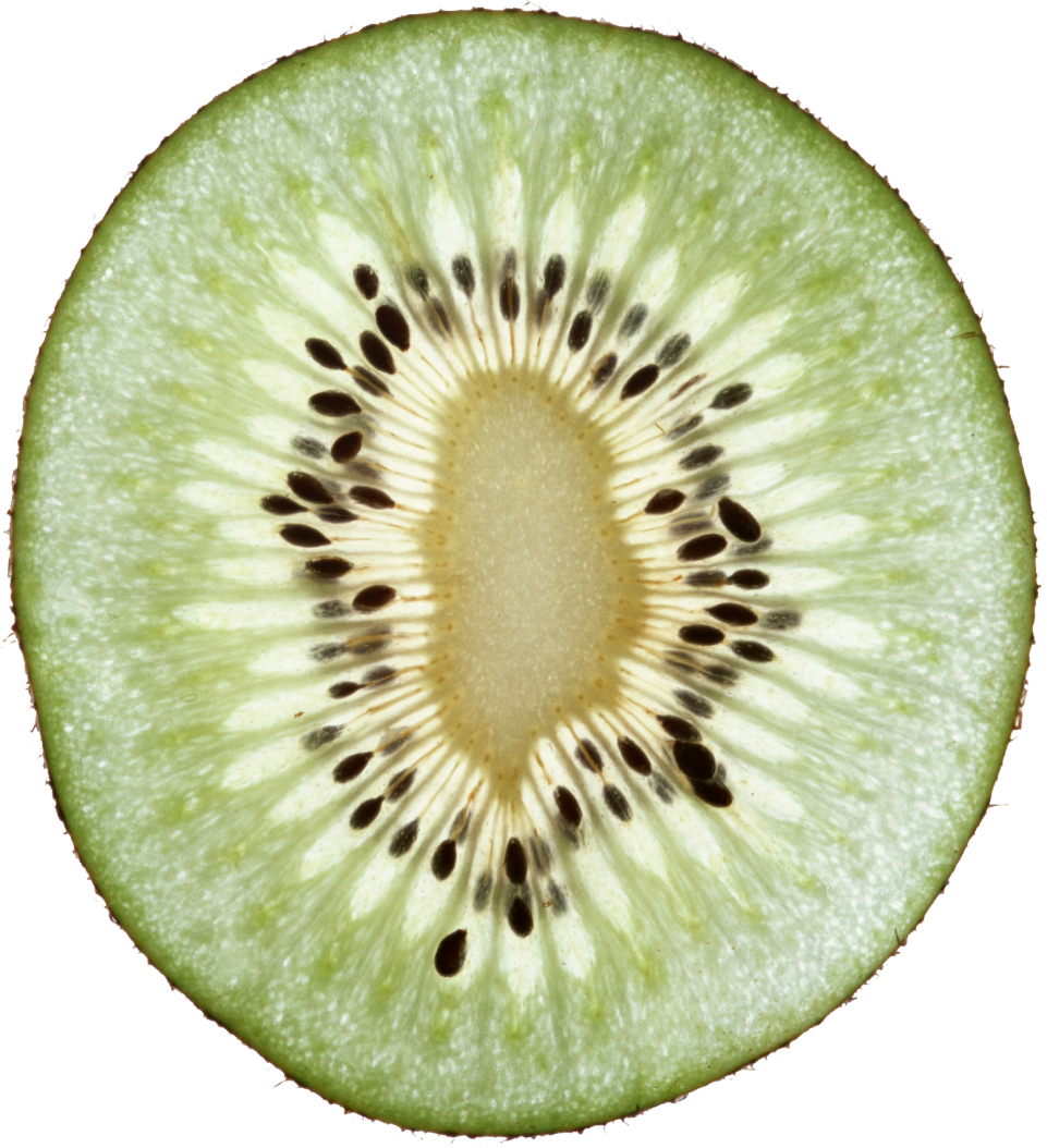 Kiwi PNG Image - PurePNG | Free transparent CC0 PNG Image Library