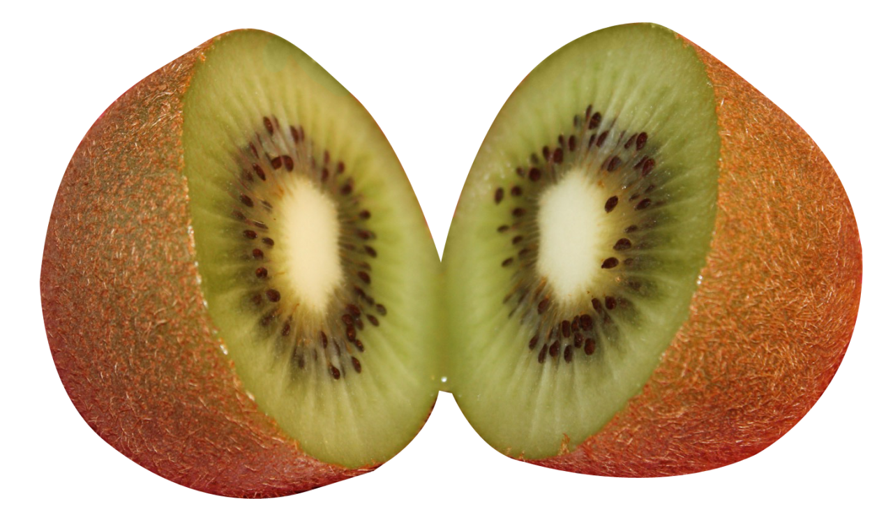 Kiwi PNG Image - PurePNG | Free transparent CC0 PNG Image Library