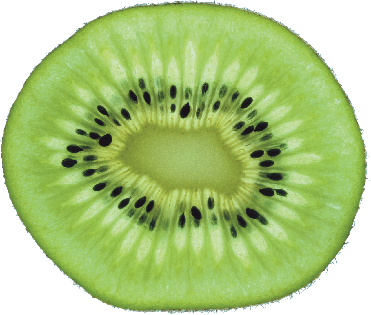 Kiwi PNG Image - PurePNG | Free transparent CC0 PNG Image Library