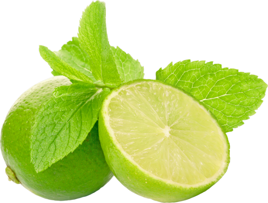 Lime PNG Image PurePNG Free transparent CC0 PNG Image Library