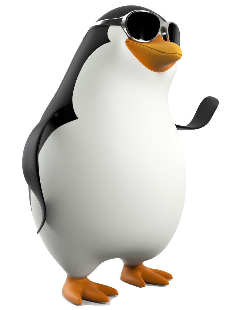 Madagascar Penguin PNG Image - PurePNG | Free transparent CC0 PNG Image ...