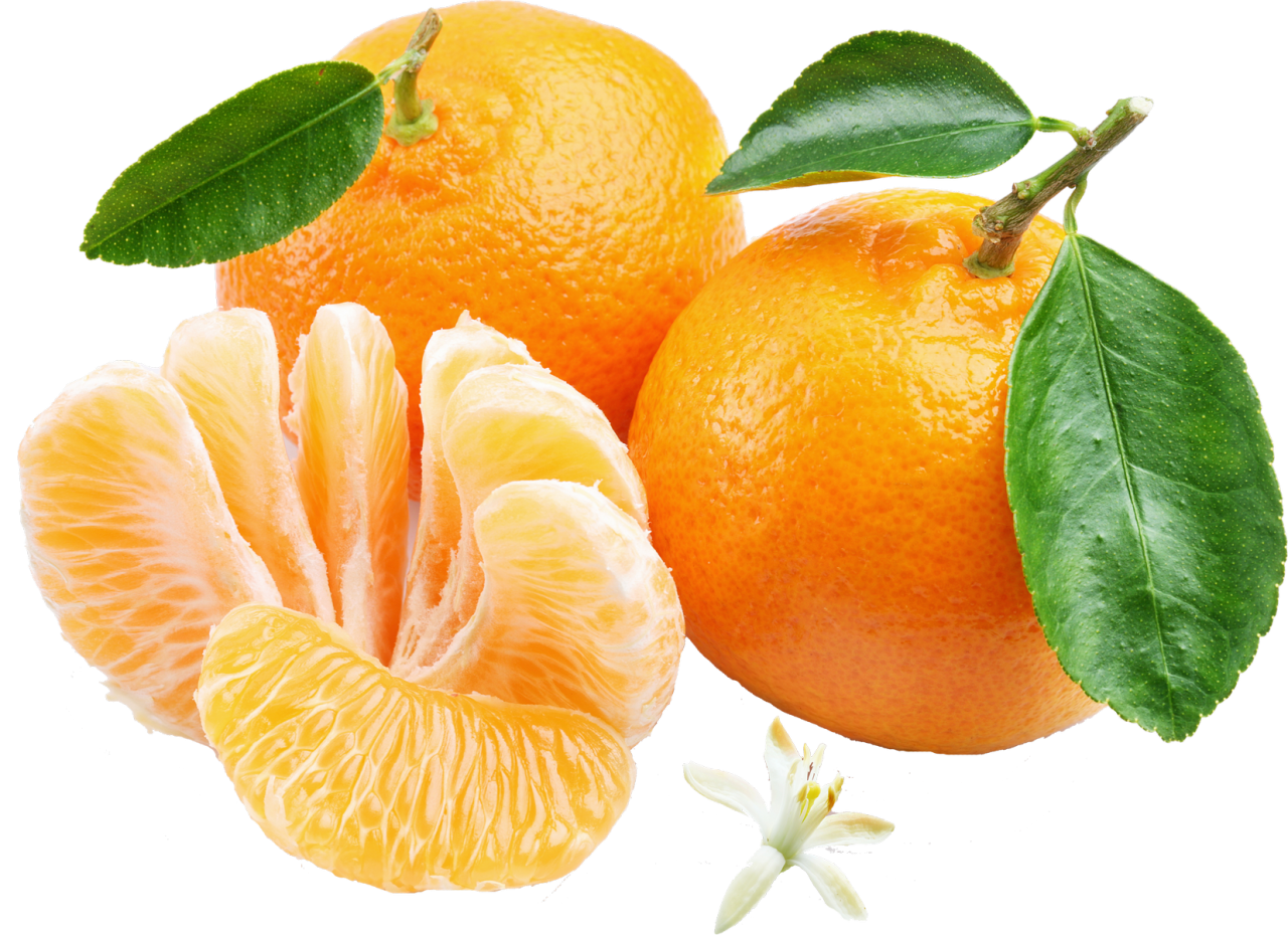 Mandarin PNG Image PurePNG Free transparent CC0 PNG Image Library