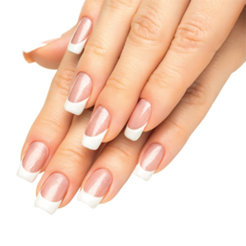 Nails PNG Image PurePNG Free transparent CC0 PNG Image Library