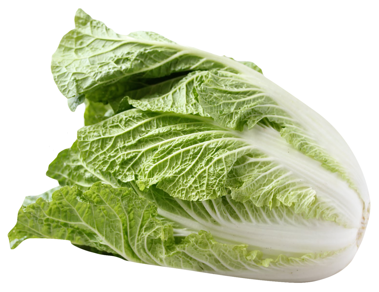 Napa Cabbage PNG Image - PurePNG | Free transparent CC0 PNG Image Library