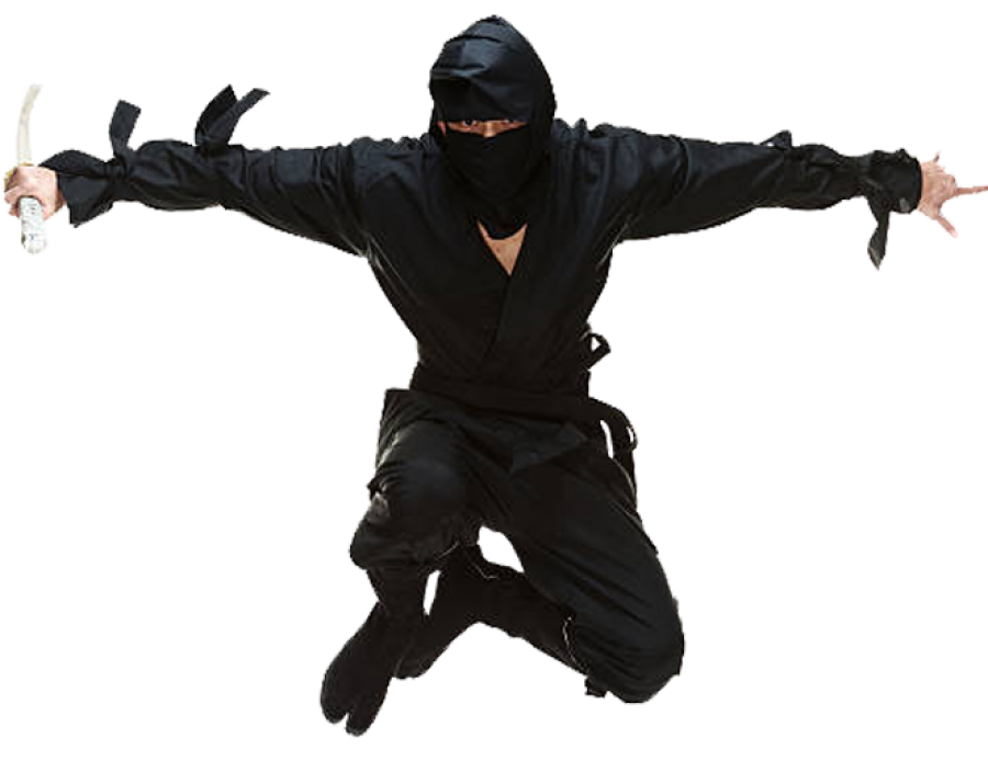 Ninja PNG Image - PurePNG | Free transparent CC0 PNG Image Library