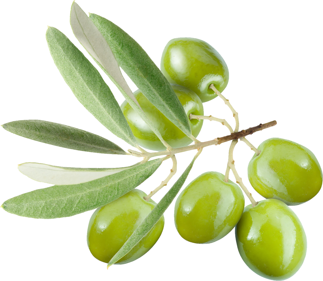 Olives PNG Image PurePNG Free Transparent CC0 PNG Image Library