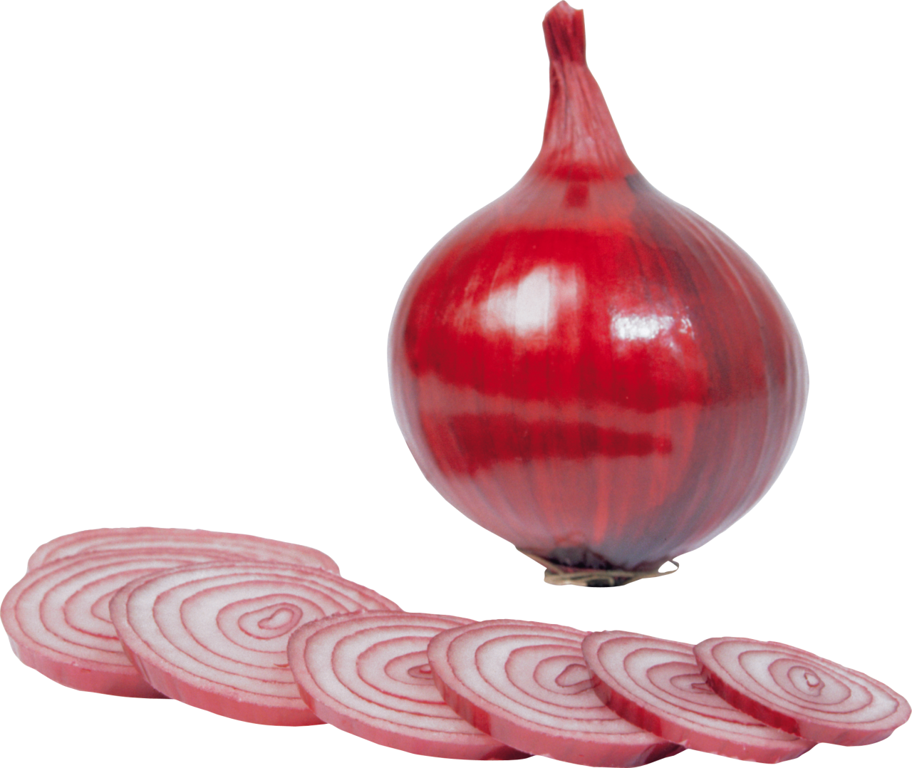 Onion PNG Image PurePNG Free transparent CC0 PNG Image Library