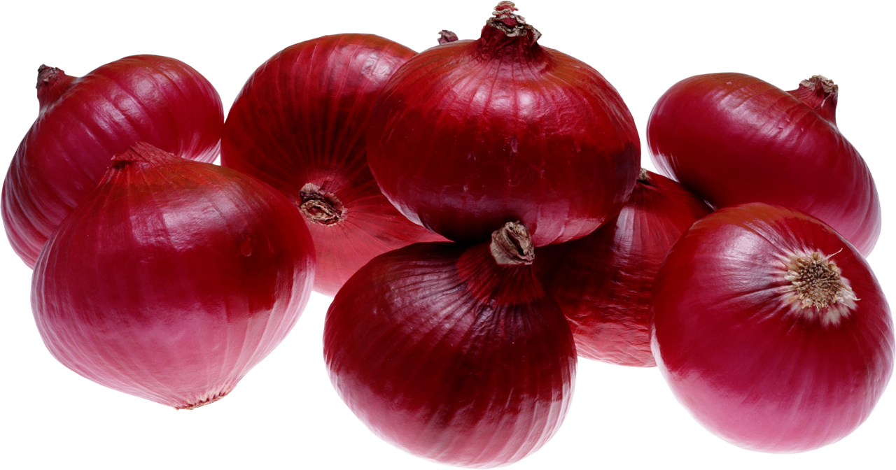 Onion PNG Image PurePNG Free transparent CC0 PNG Image Library
