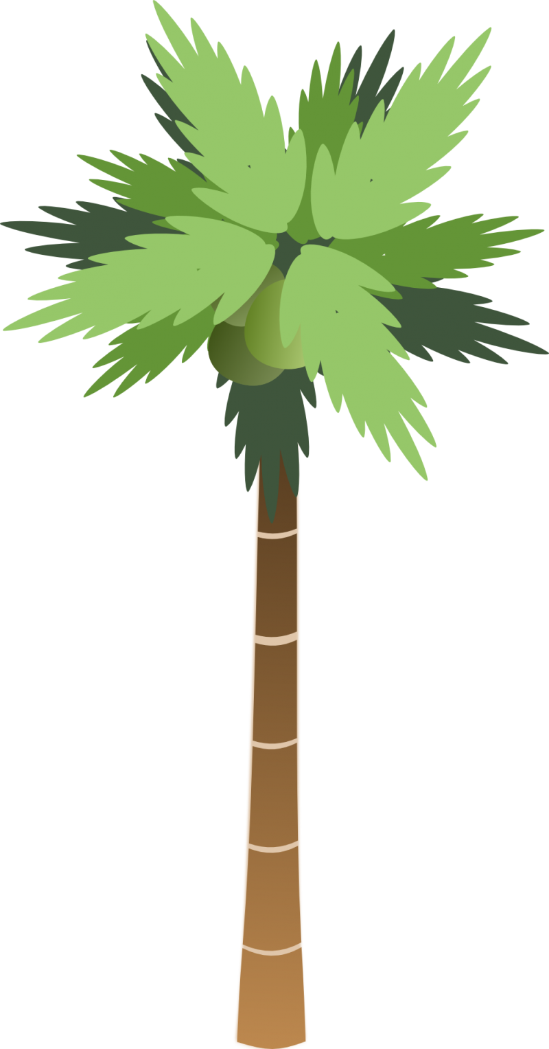 Palm Tree PNG Image - PurePNG | Free transparent CC0 PNG Image Library