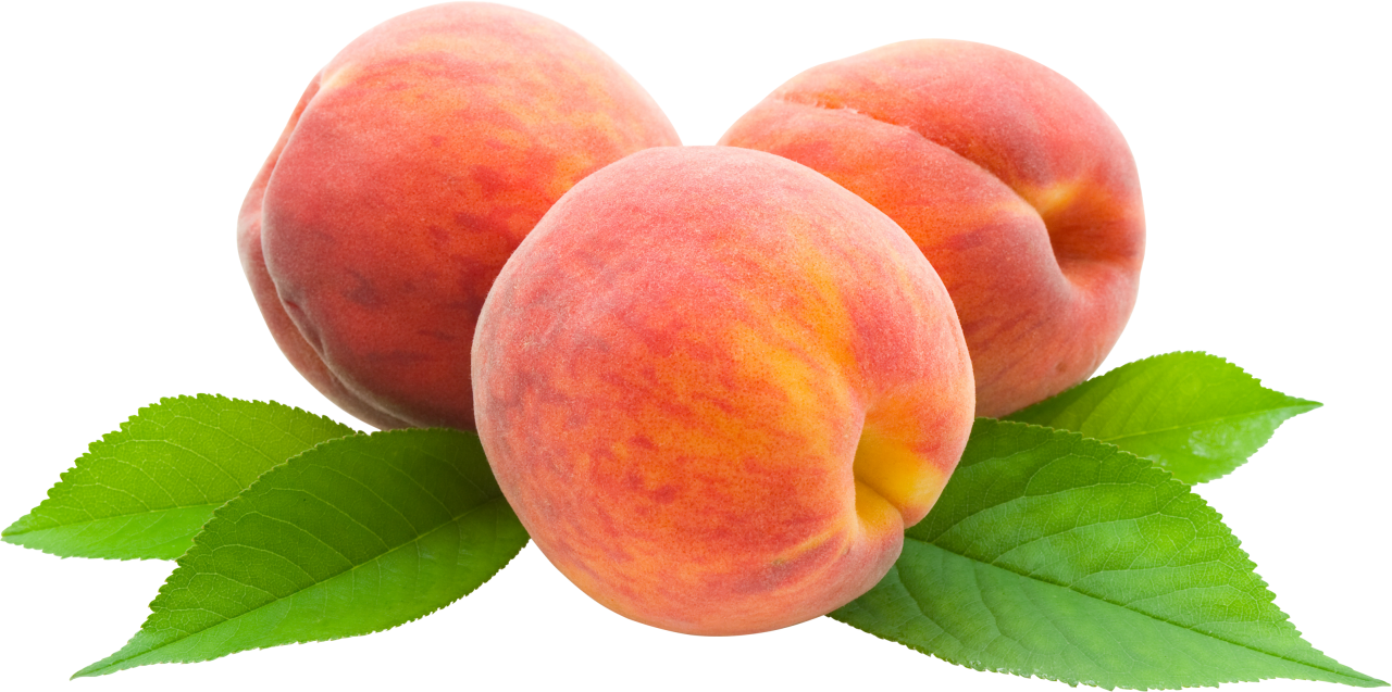 Peaches Png Image Purepng Free Transparent Cc0 Png Image Library