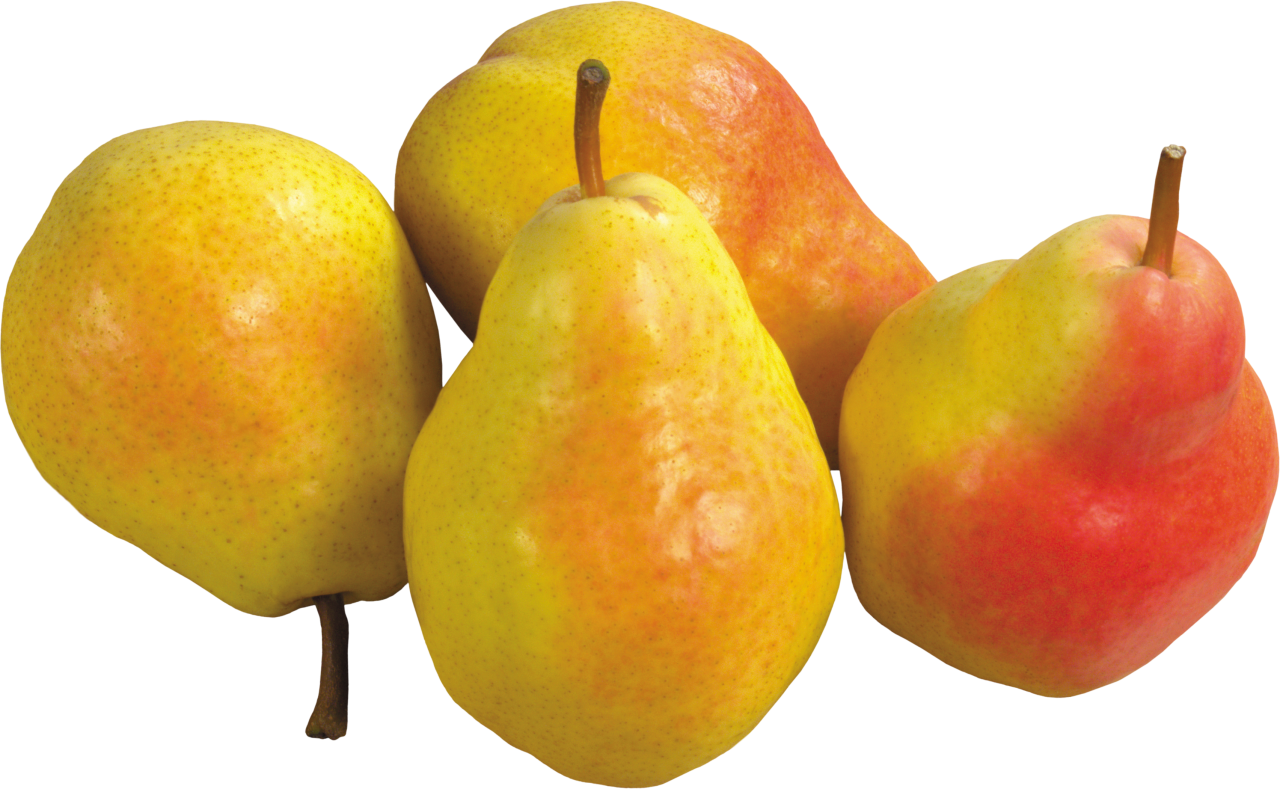 Pears PNG Image PurePNG Free transparent CC0 PNG Image Library