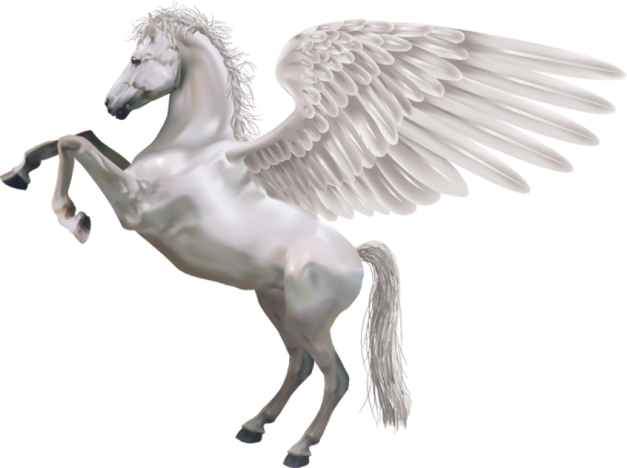 Pegasus PNG Image PurePNG Free transparent CC0 PNG Image Library