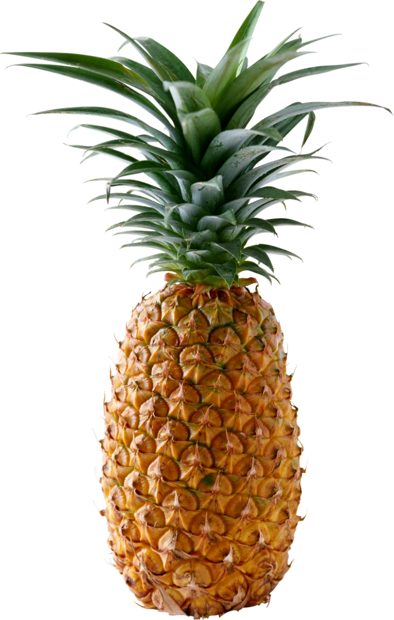 Pineapple PNG Image - PurePNG | Free transparent CC0 PNG Image Library