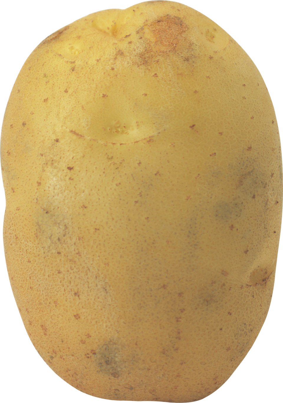Potato Bag PNG