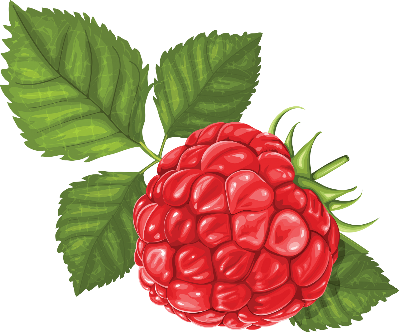 Raspberry PNG Image - PurePNG | Free transparent CC0 PNG Image Library