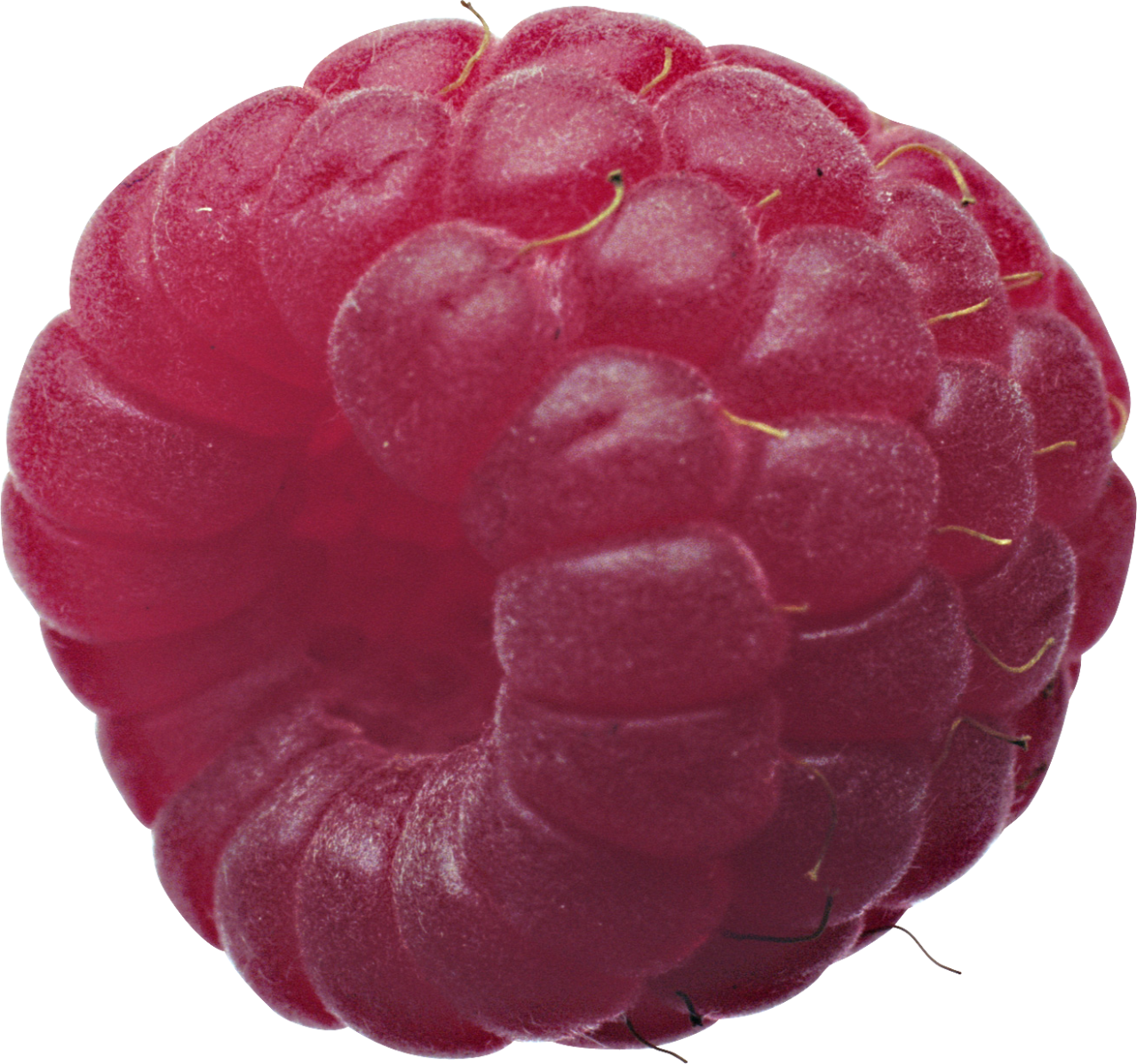 Raspberry Blue Fruit Png Picpng - vrogue.co