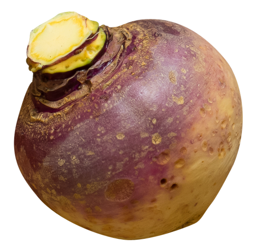 Rutabaga PNG Image PurePNG Free Transparent CC0 PNG Image Library rutabaga-png-image-purepng-free-transparent-cc0-png-image-library