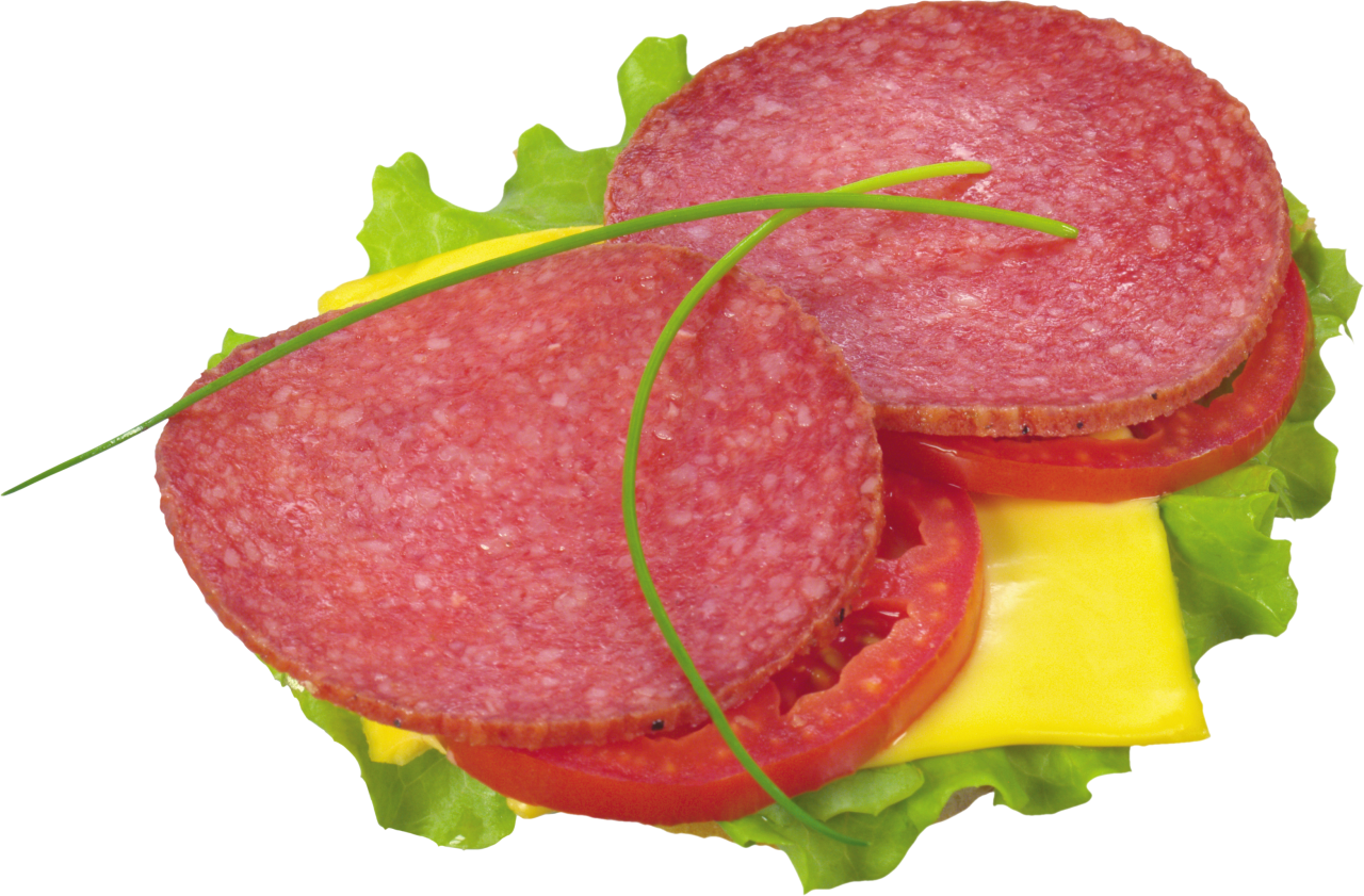 Salami Toast PNG Image PurePNG Free transparent CC0 PNG Image Library