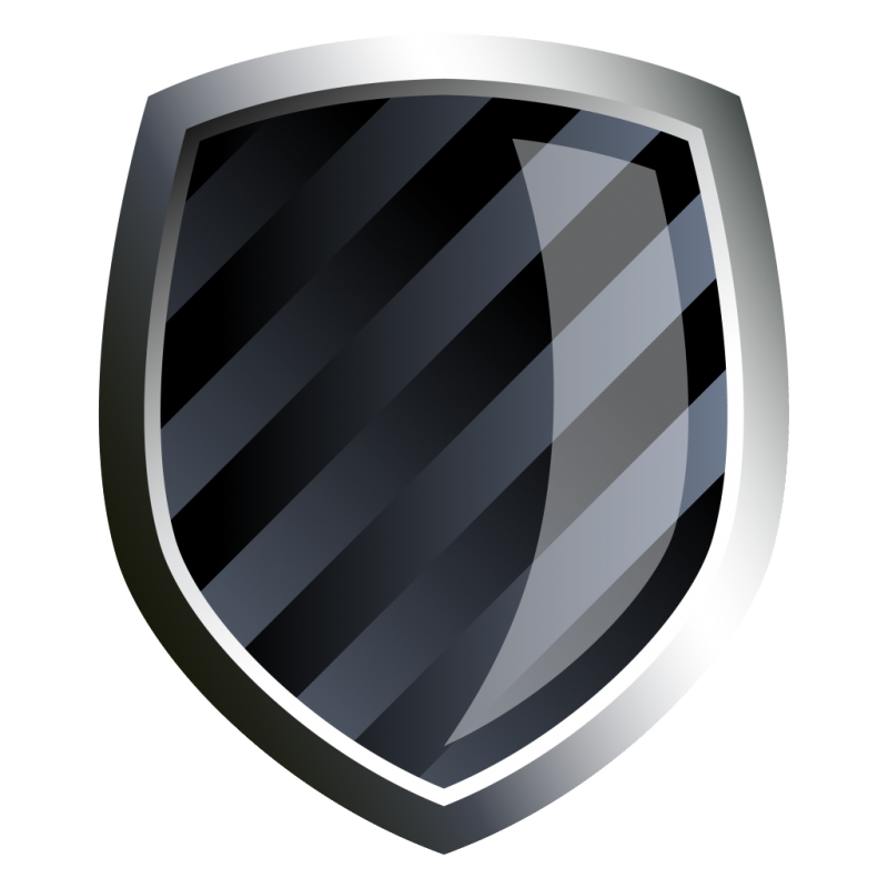 Shield PNG Image - PurePNG | Free transparent CC0 PNG Image Library