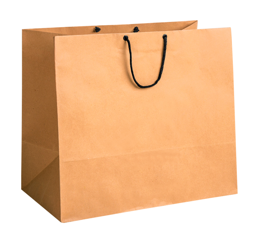 Shopping Bag PNG Image - PurePNG | Free transparent CC0 PNG Image Library