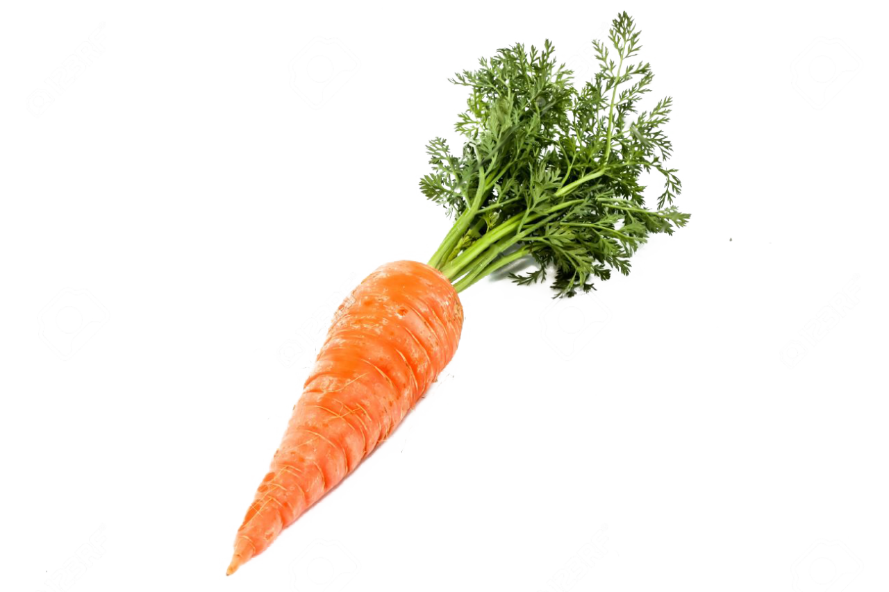 Single Carrot PNG Image - PurePNG | Free transparent CC0 PNG Image Library