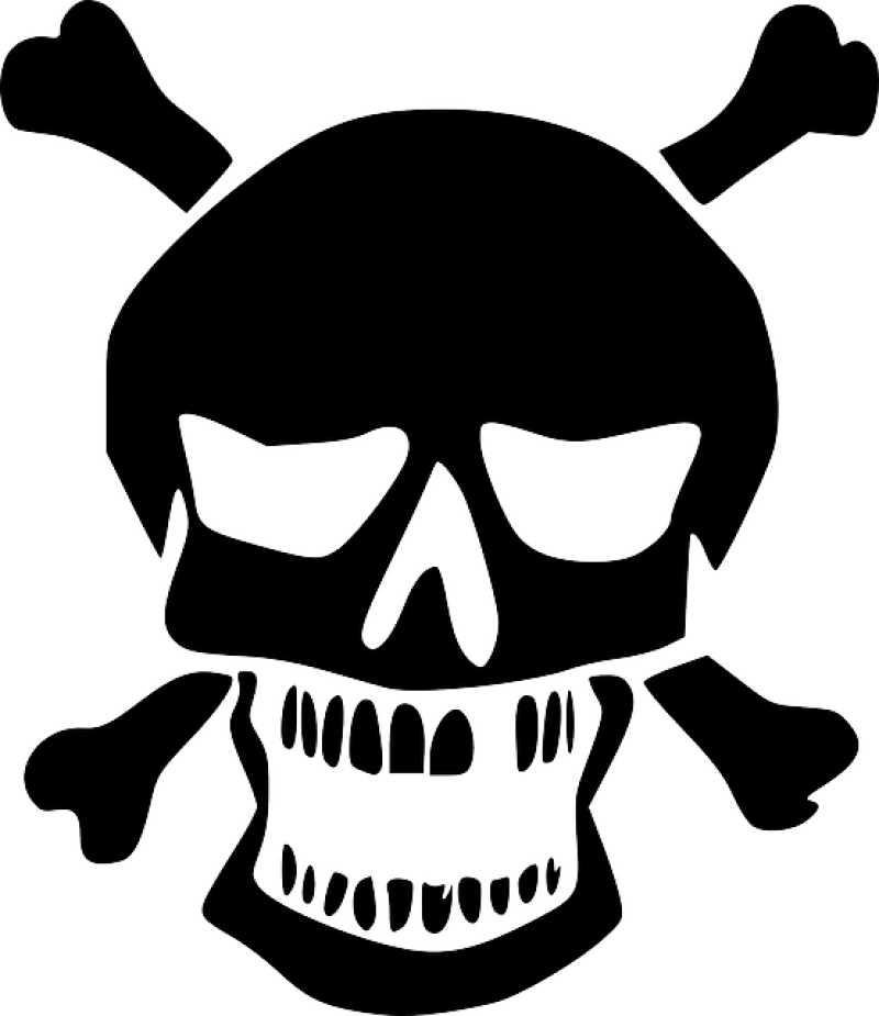 Skeleton Skull PNG Image PurePNG Free Transparent CC0 PNG Image   Purepng.com Skeleton Skullskeletonstructureexoskeletonskeletonsskullsclipart 1421526967679ivgje 