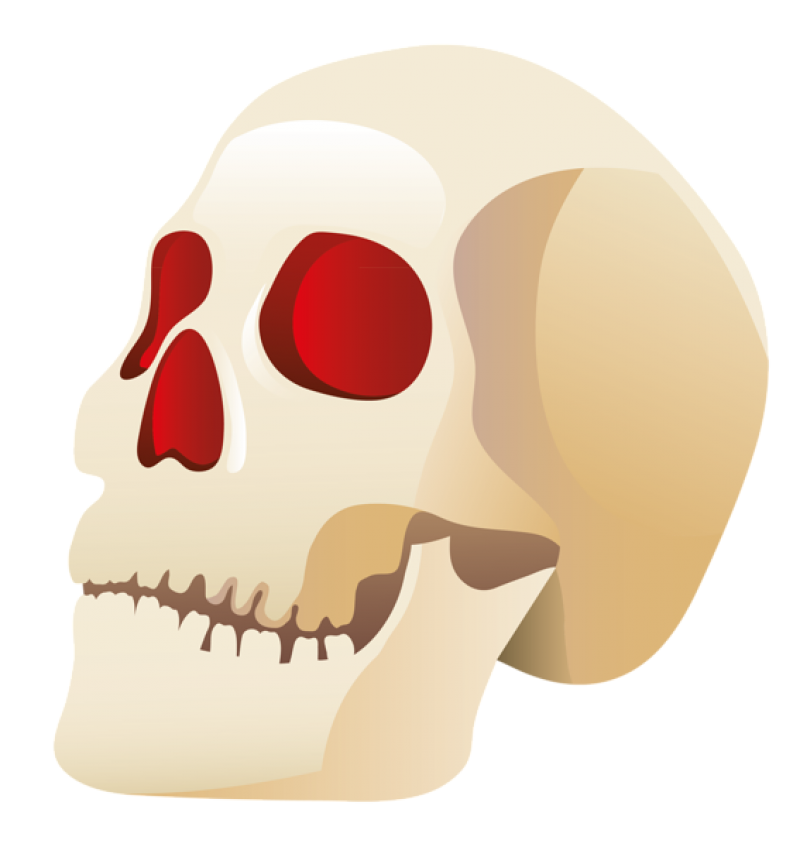 Skulls PNG Image - PurePNG | Free transparent CC0 PNG Image Library