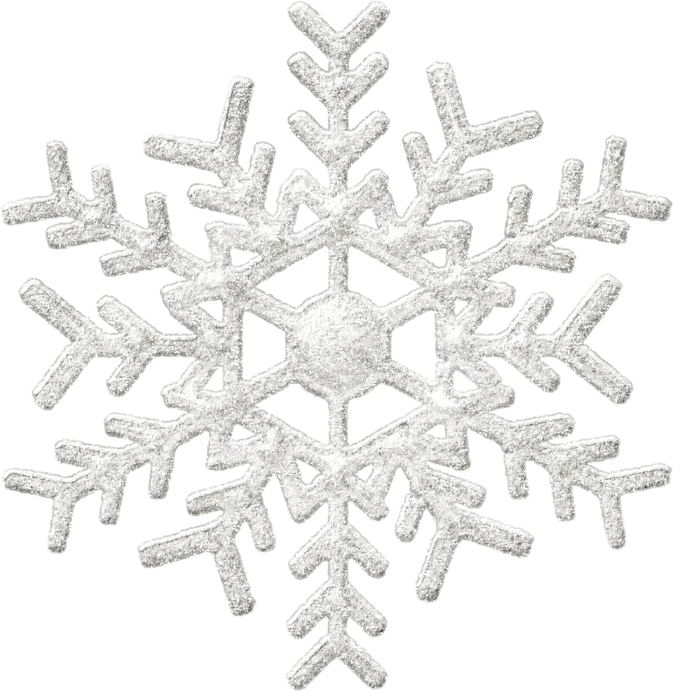 Snowy Snowflake Winter Png Image Purepng Free Transparent Cc0 Png