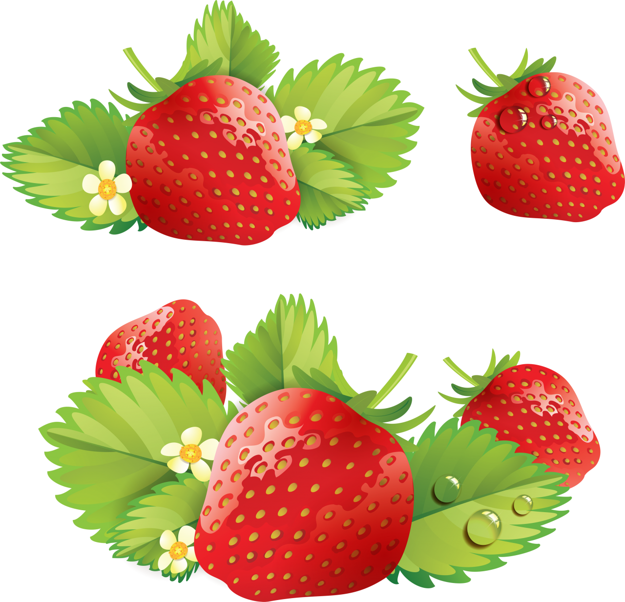 Strawberry PNG Image - PurePNG | Free transparent CC0 PNG Image Library