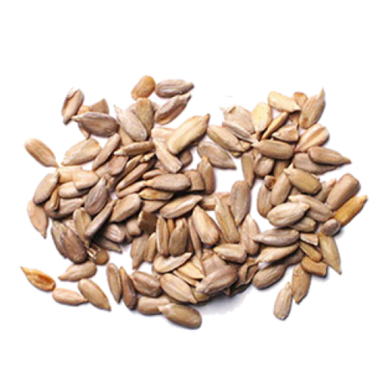 Sunflower Seeds Png Transparent Images Png All Vrogue Co