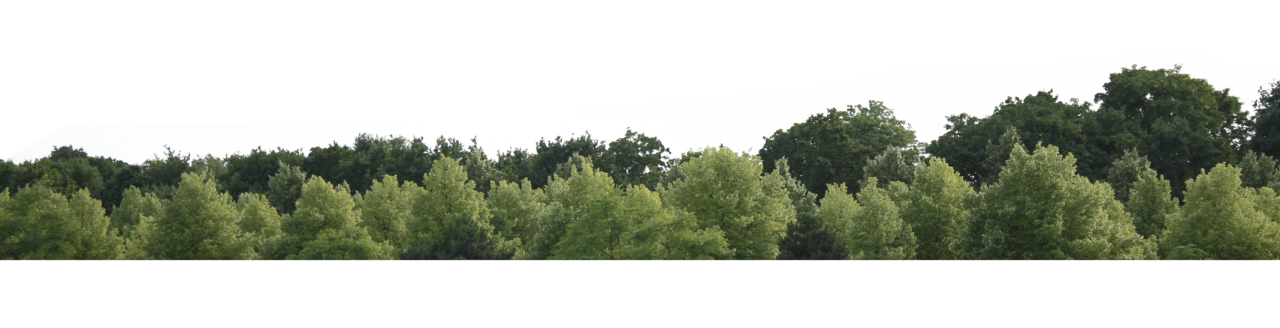 Tree Skyline PNG Image - PurePNG | Free transparent CC0 PNG Image Library