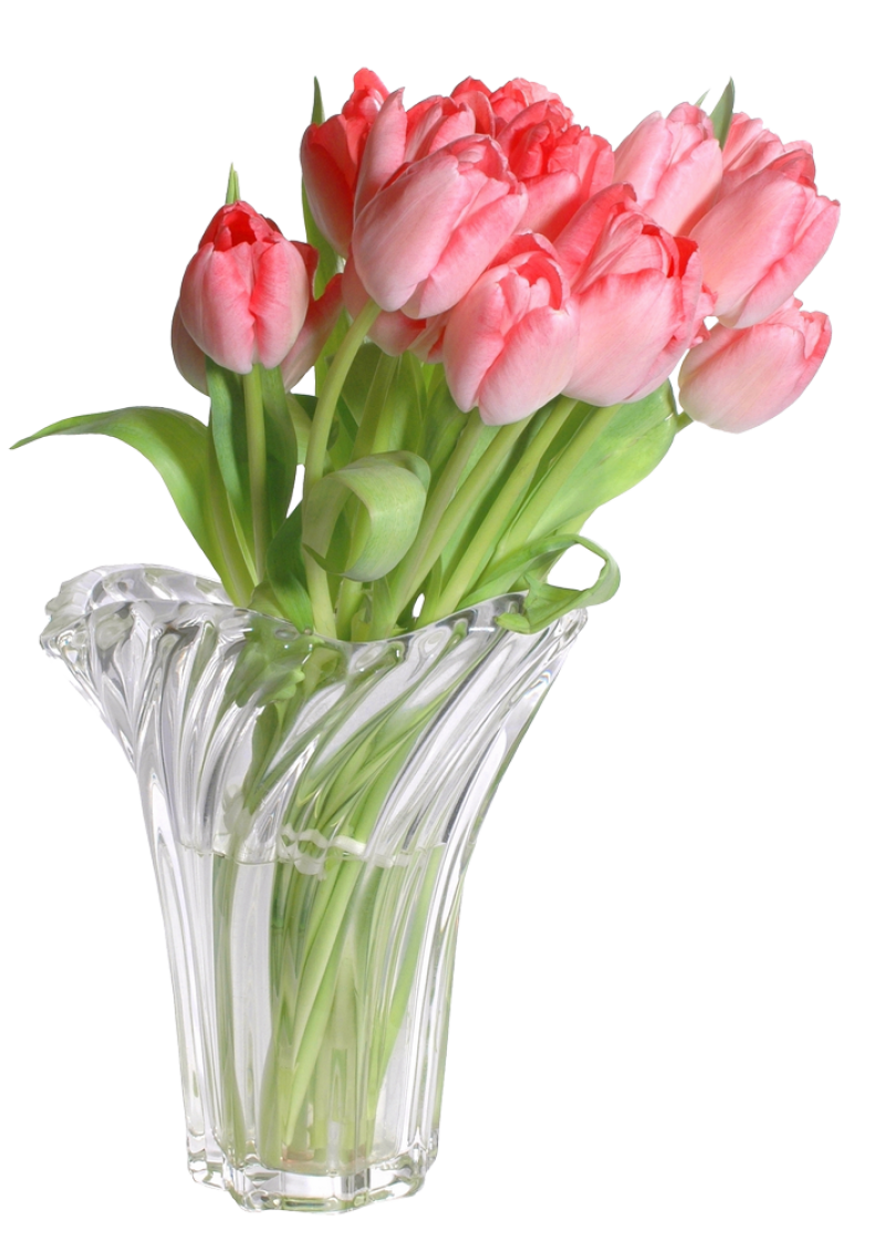 Vase PNG Image PurePNG Free transparent CC0 PNG Image Library