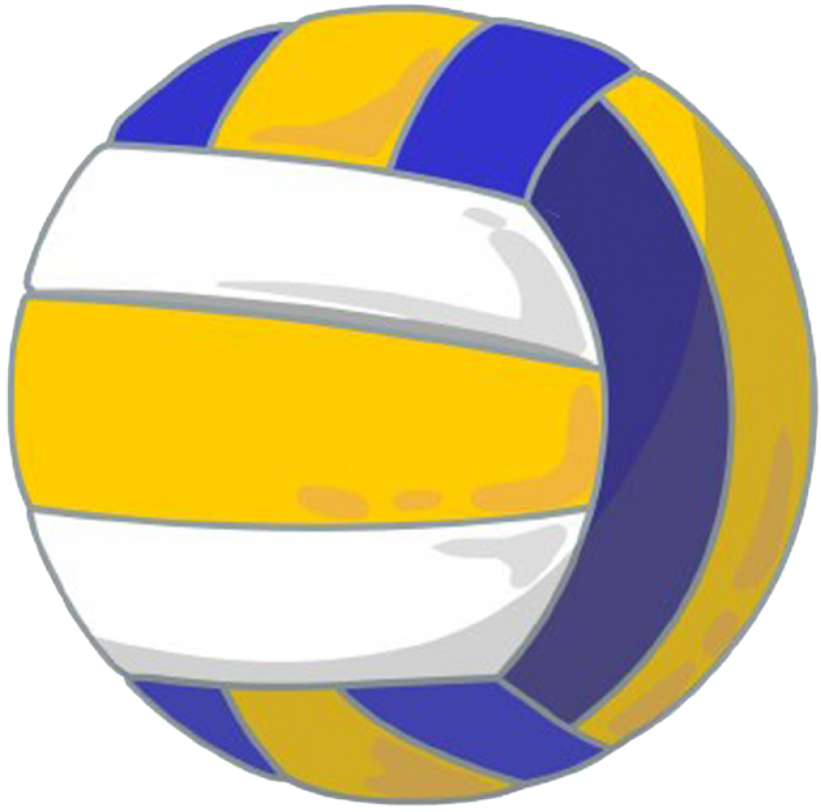 Volleyball PNG Image - PurePNG | Free transparent CC0 PNG Image Library