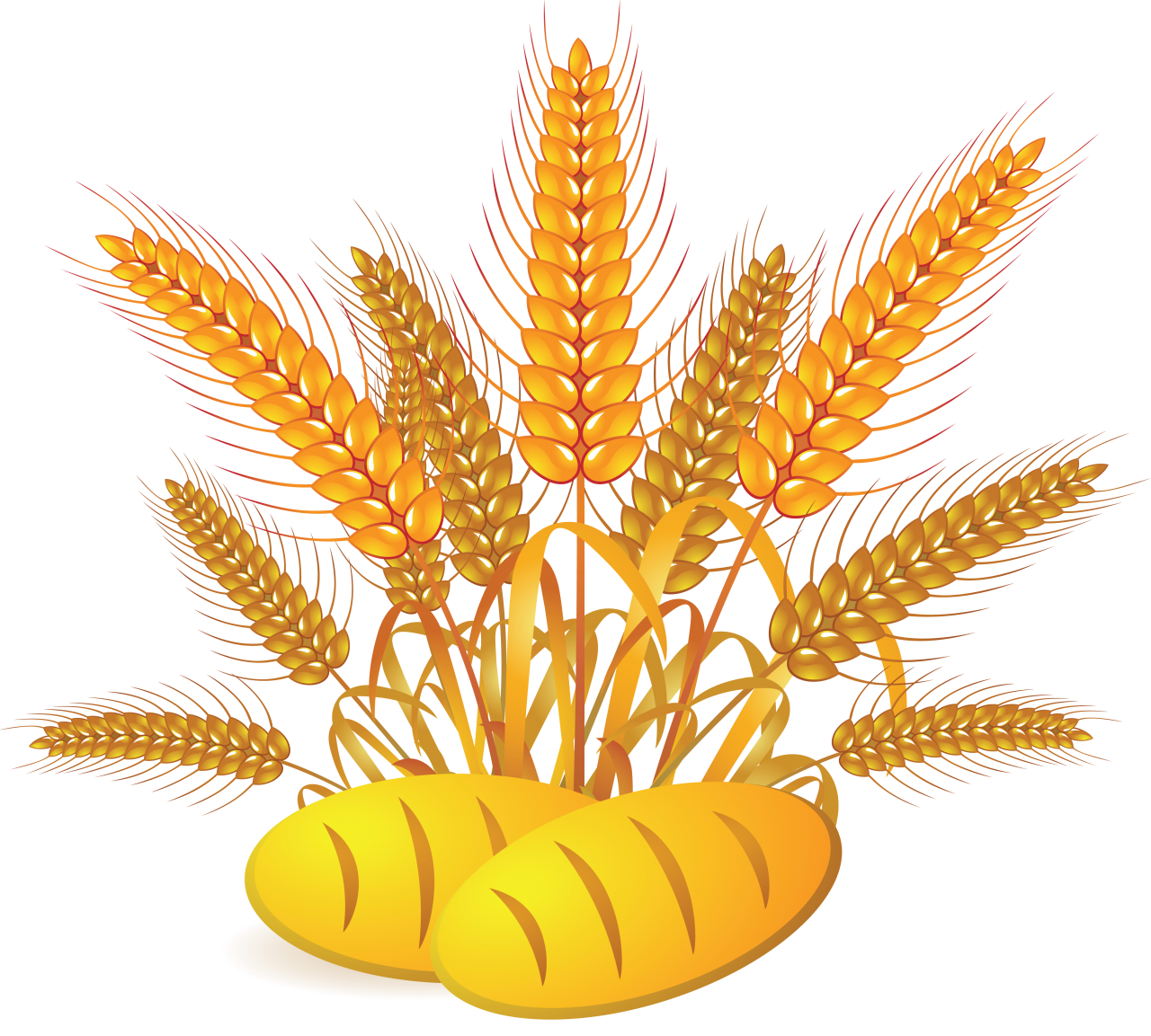 Wheat PNG Image - PurePNG | Free transparent CC0 PNG Image Library