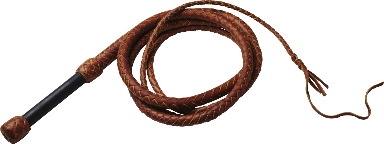 Whip PNG Image - PurePNG | Free transparent CC0 PNG Image Library