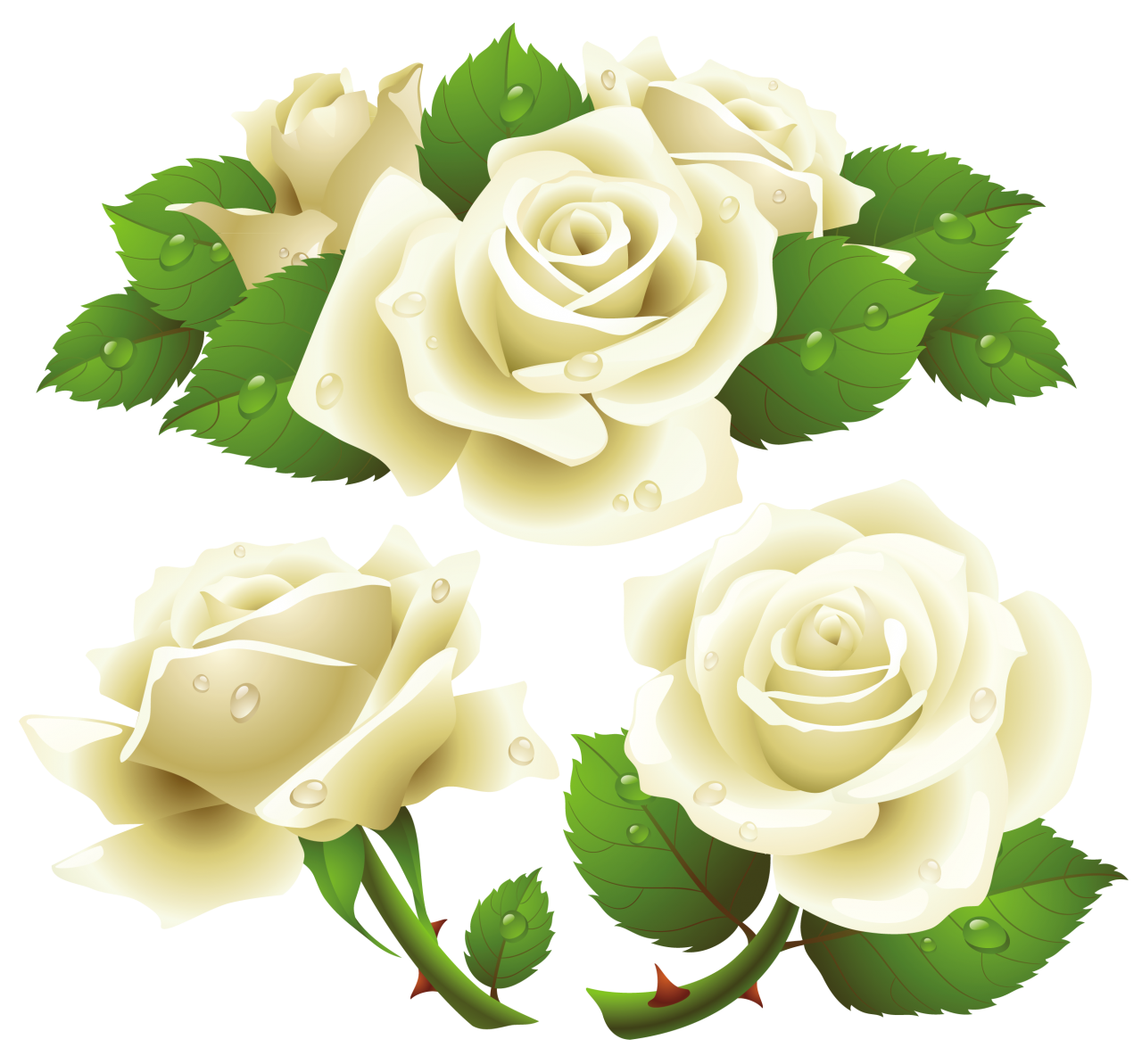 White Roses PNG Image - PurePNG | Free transparent CC0 PNG Image Library