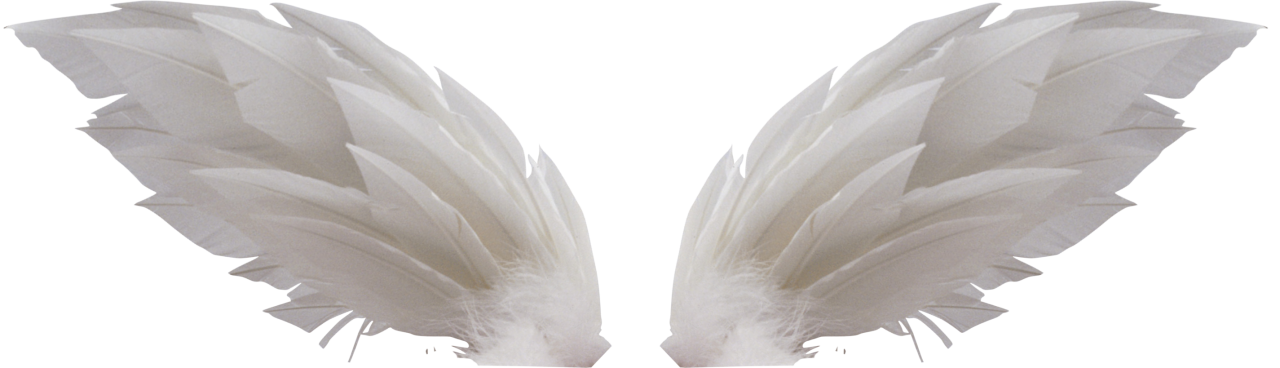 White Wings PNG Image - PurePNG | Free transparent CC0 PNG Image Library