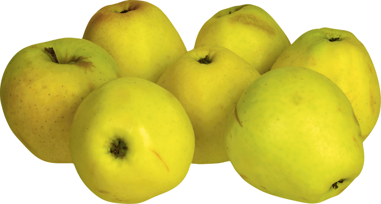 Download Yellow Apple S Png Image Purepng Free Transparent Cc0 Png Image Library Yellowimages Mockups