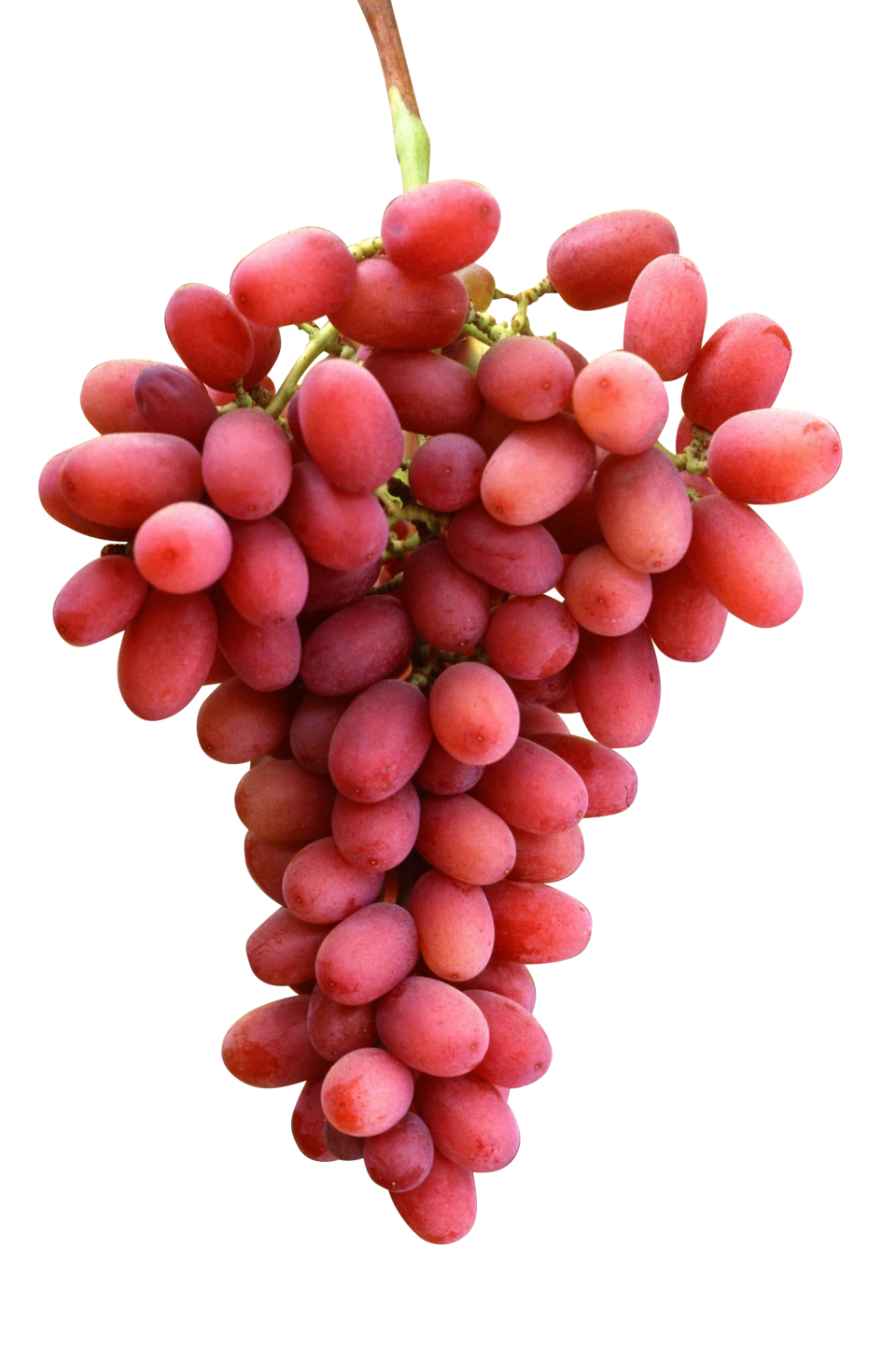 Red Grapes PNG Image - PurePNG | Free transparent CC0 PNG Image Library