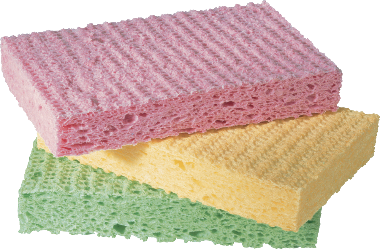 Sponge PNG Image PurePNG Free transparent CC0 PNG Image Library