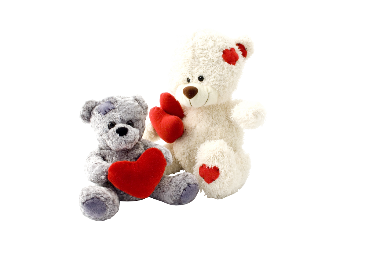 2 teddy