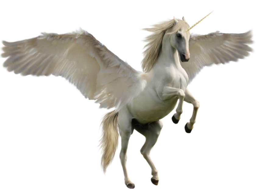 Unicorn PNG Image - PurePNG | Free transparent CC0 PNG Image Library