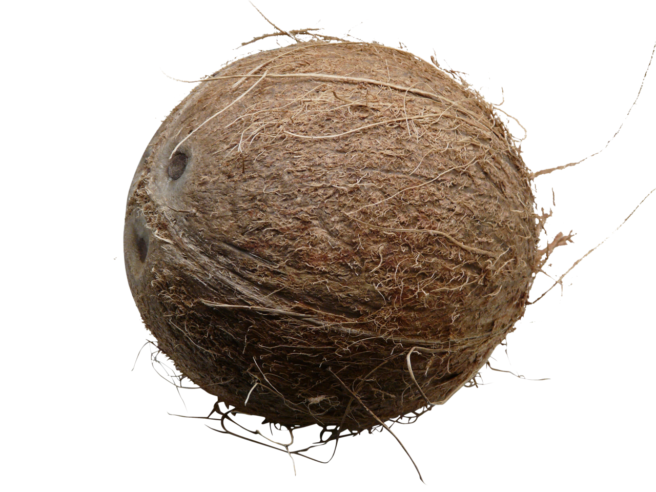 Whole Milked Coconut Png Image Purepng Free Transparent Cc Png | My XXX ...