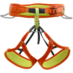 Climbing Harness PNG