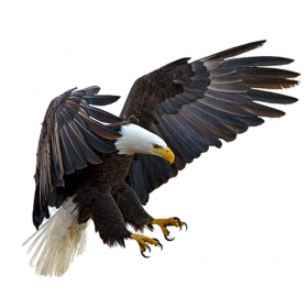 Free Transparent Golden Eagle Png Images Download Purepng Free Transparent Cc0 Png Image Library