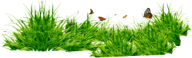 Grass Patch With Insects PNG