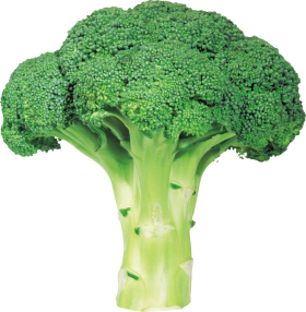 Green Fresh Broccoli PNG